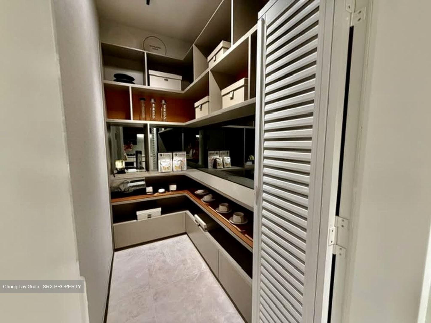 Hudson Place Residences (U/C) (D5), Apartment #574467251